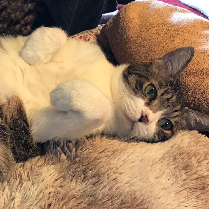 36e4cb60 9177 4aff b196 4a03b94cbf38 1521958485461