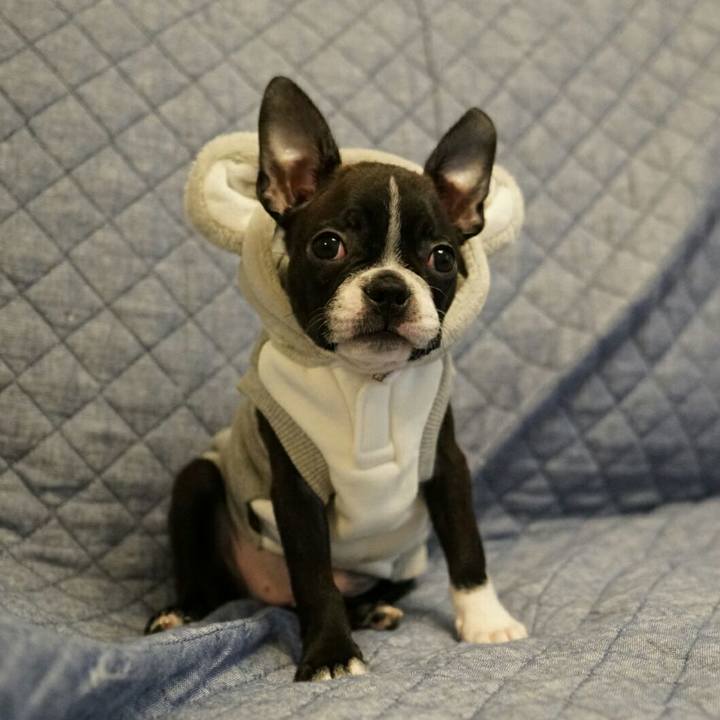 36e4cfd1 8368 44b8 8ccf 2116873b22e1 1539418453088