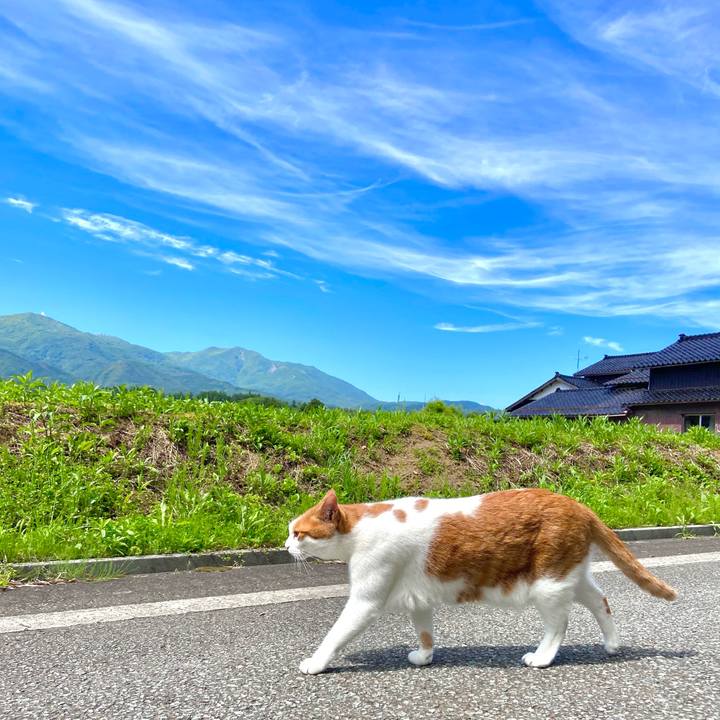 36e4e1eb 2290 4490 b76f 5cea0926fd9e 1622876468242