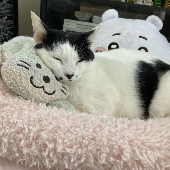 36e4eef7 1cde 4fb2 a1fe db936cd83d29 1765927998070