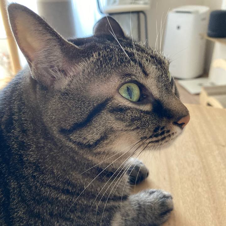 36e5127b 48ec 4ec4 b96d eaf5d13dc3a2 1695523038665