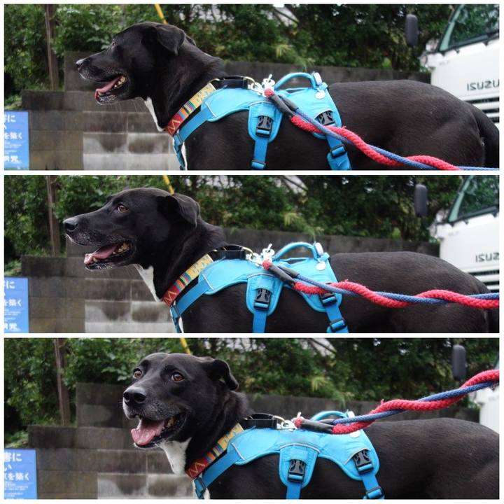 36e52b73 8bf8 427b 8ed9 a7429c5ddc94 1634171797474