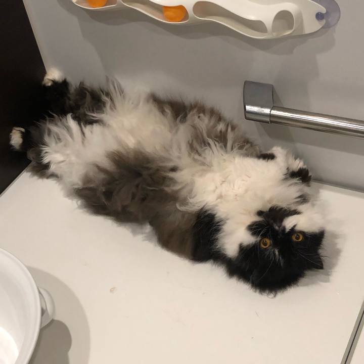 36e53077 4996 4e6f 94f7 36a8389ac2ad 1646257913146