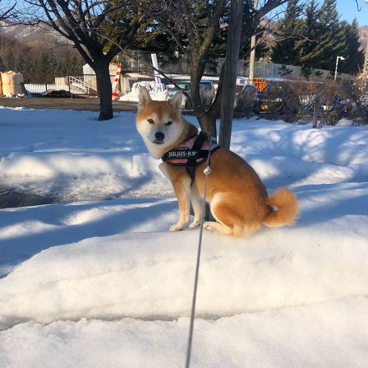 36e56a98 e901 4af6 ae4d 9f9973904bf8 1551919502024