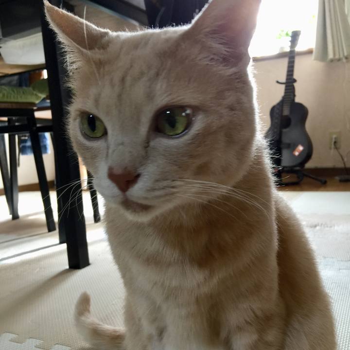 36e57317 10d1 4266 9f4d b26d0d4735c2 1631142986716