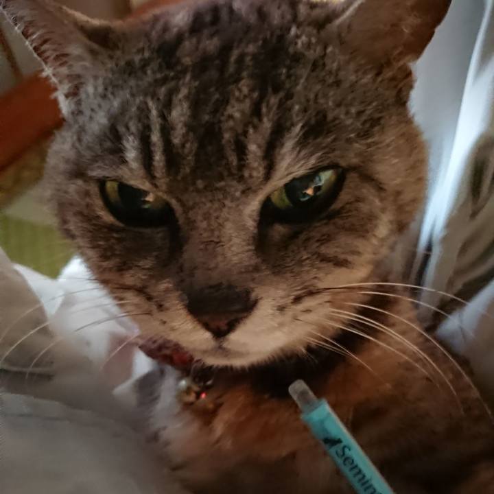 36e57dcd 68ea 49e6 914e cad63f11b2c2 1593466586169