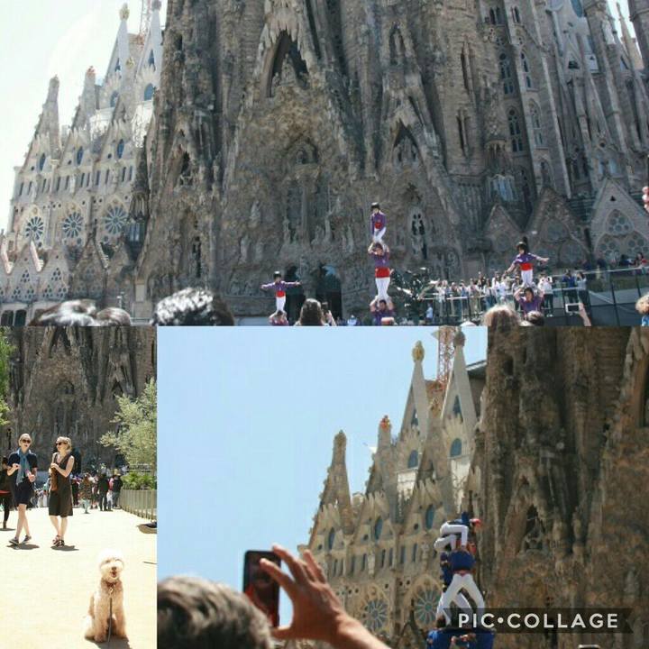 36e58046 1113 4f2a bdd3 b6e8acaefdf2 1557781625986