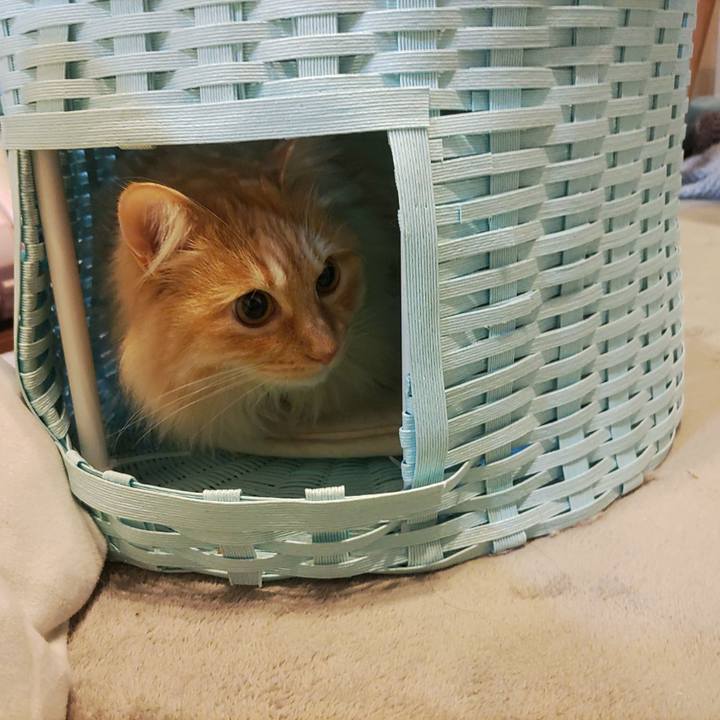 36e584b7 60e4 4bba 9baf 126f6591580a 1677709934989