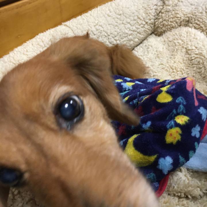 36e591ad f4a8 4345 abe8 c5c531938bd5 1584018309087