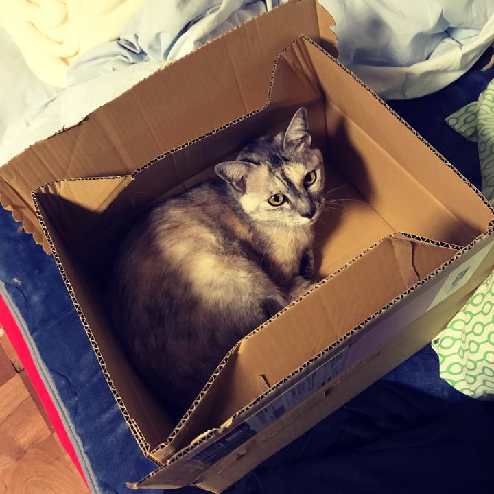 36e591c5 d2a5 4649 864d 8c5a93cbf6a2 1665487810213