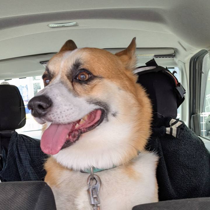 36e59674 7d05 4d29 8897 94900b1d5094 1761820662537