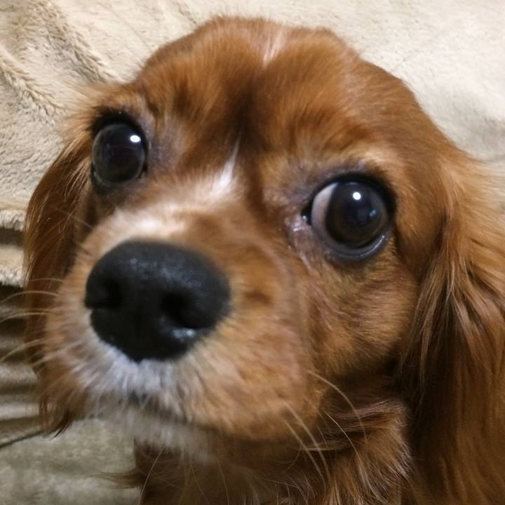 36e59a13 fe53 4dc6 a684 9692f39ca2dd 1516571795500