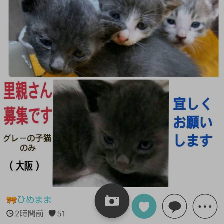 36e5ae77 234e 4ce4 842f 9acba11daed7 1536381813172