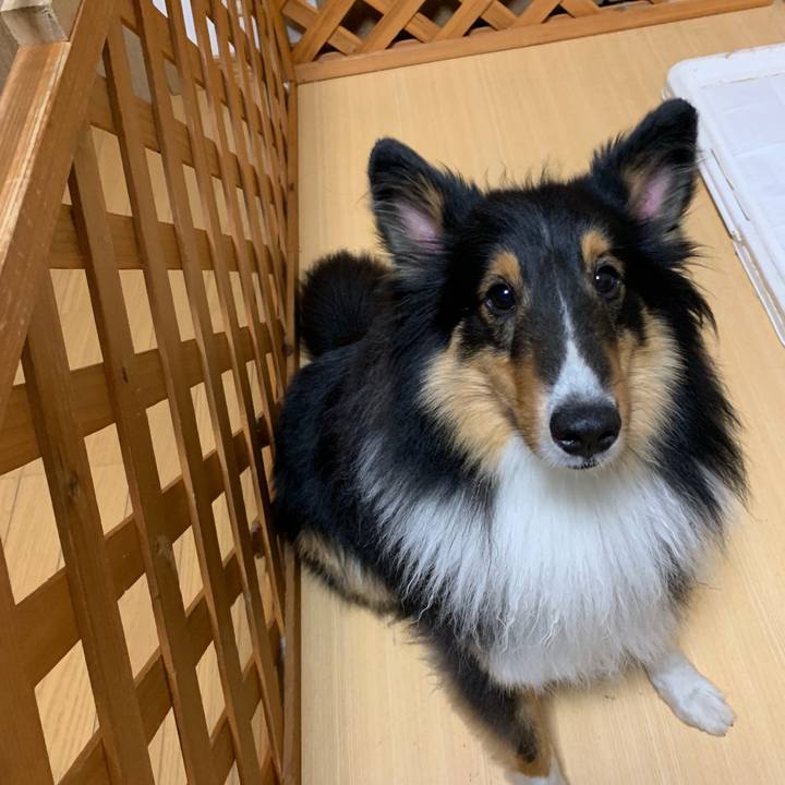 36e5b7b9 5492 4465 9a2c 859cfeb16e5e 1559857570763