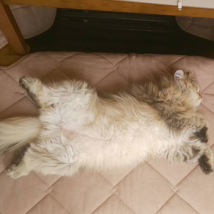 36e5c448 ee3c 4af8 8662 0b6a55995264 1589755986434