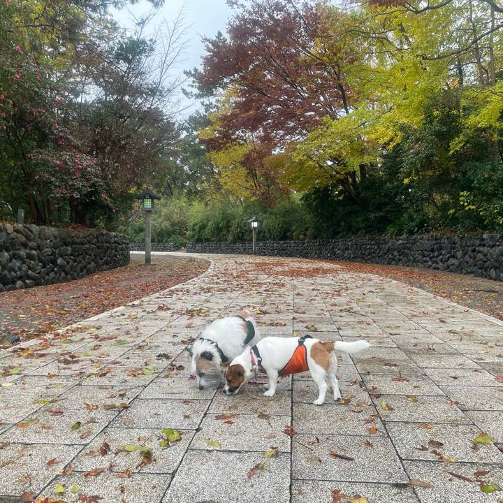 36e5d820 e3ae 43b9 a94c 8e7442fadc43 1732661917887