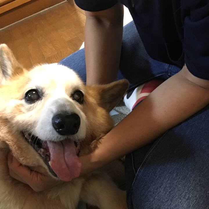 36e5e69c b841 4c4a 9a9a 53757e2e0da5 1569836222064