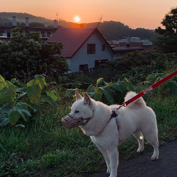 36e5f3bd 8d3b 4896 b413 0e6703f0dafb 1593807465406