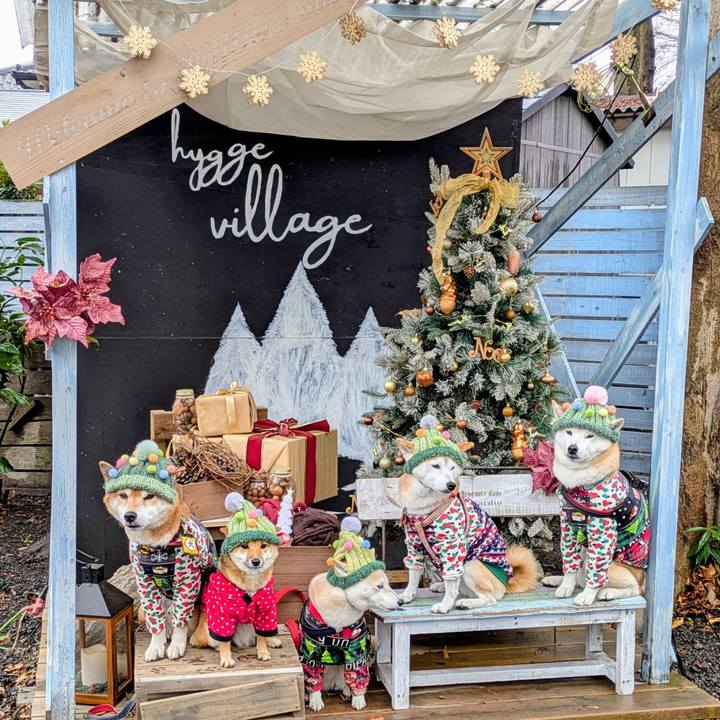 36e629b6 b093 4b1e a057 67754b97b1fd 1766117463504