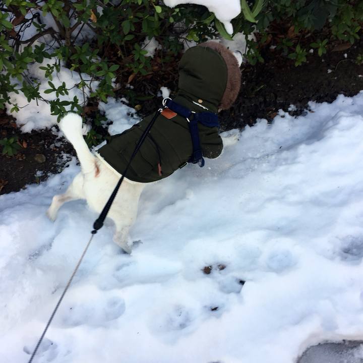 36e631f9 0fcc 4491 ba85 e0f0128b396d 1517140738239