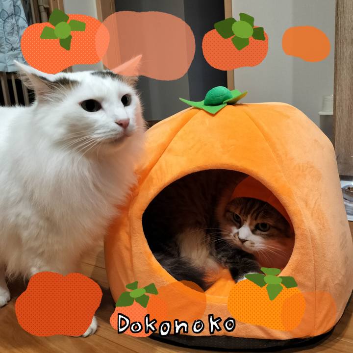 36e63d8f c4ee 4561 b14e ebeeab457c56 1761489652059