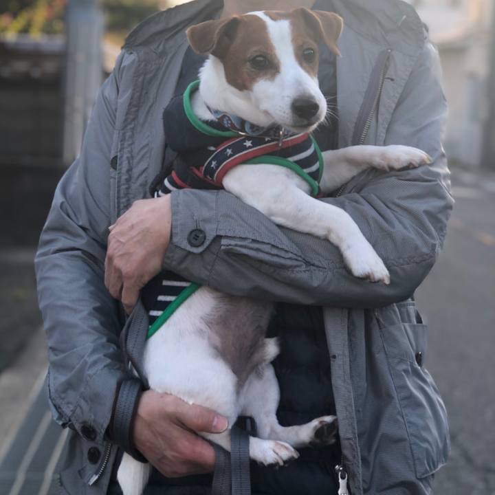 36e6643c 7688 417b b546 3a3c7ccee426 1667444271494