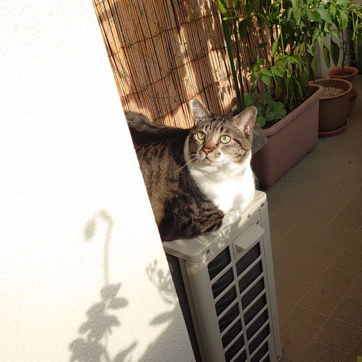 36e66c31 66fa 49f1 8d82 80d67423ccbb 1603147622726