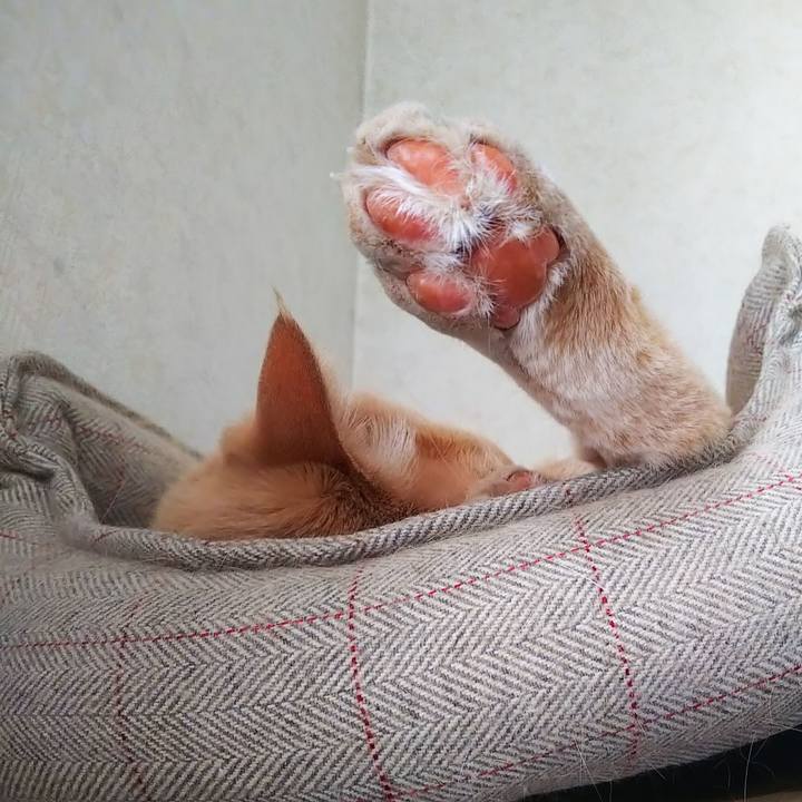 36e6ecbf 5fb3 4c89 823b 62d243a7f7c5 1677308894704