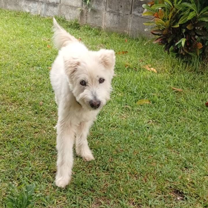 36e6fef2 1365 45de 91bf 9932a5a31b53 1753542438347