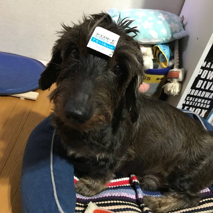 36e72cf3 d666 42f6 a2c0 b6beb09f1119 1538492231766