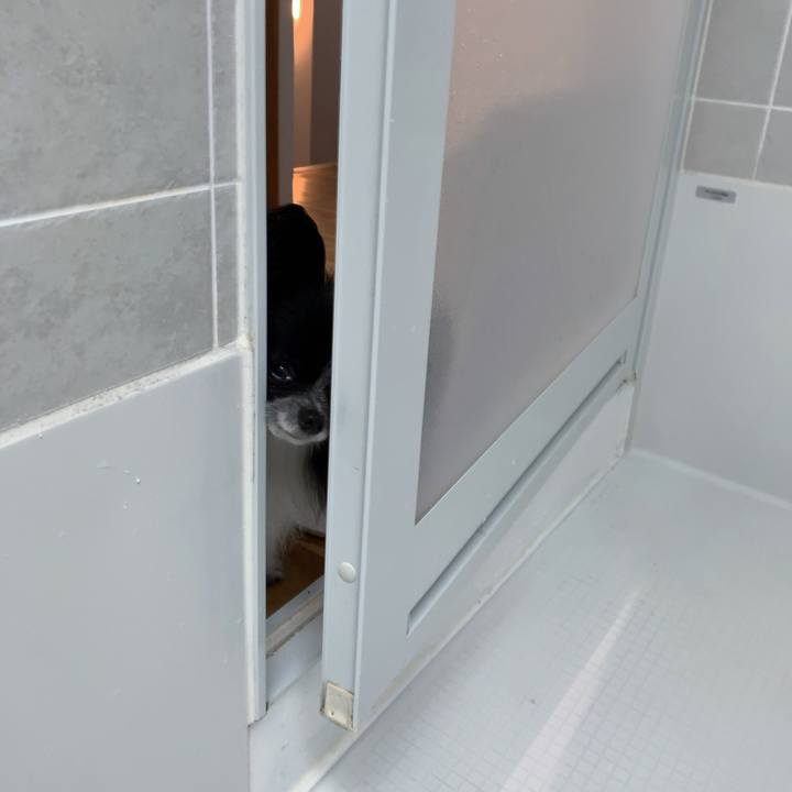 36e74b30 a63f 441d a984 fca656d2ebdd 1560048292614