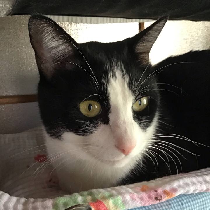 36e75b1a cad2 48fb b57b fee327f2adaf 1728720344079