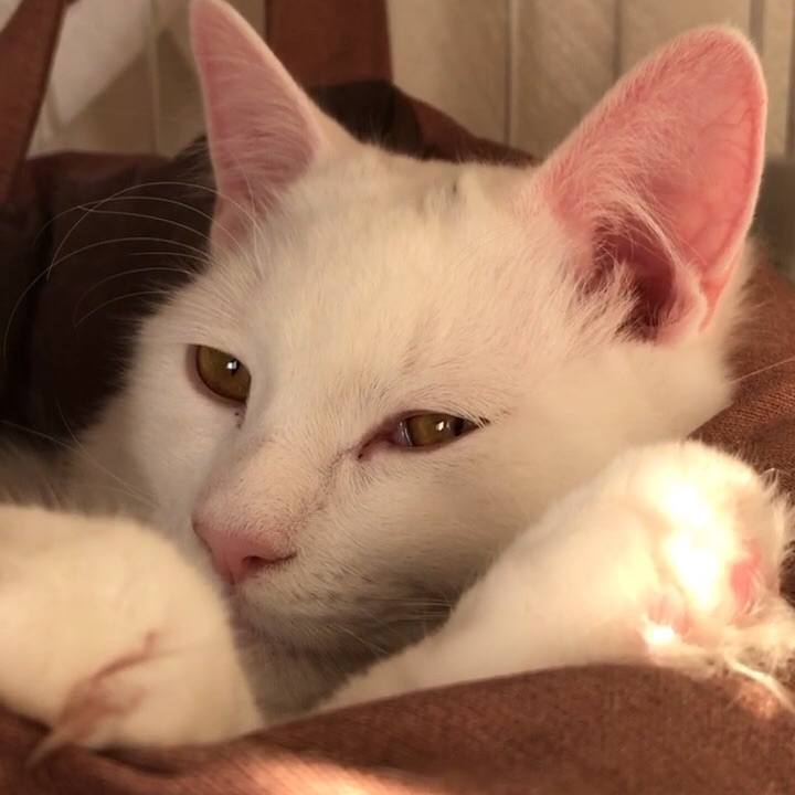 36e78ff0 2d7d 4315 9445 7497e93898d6 1518857177519