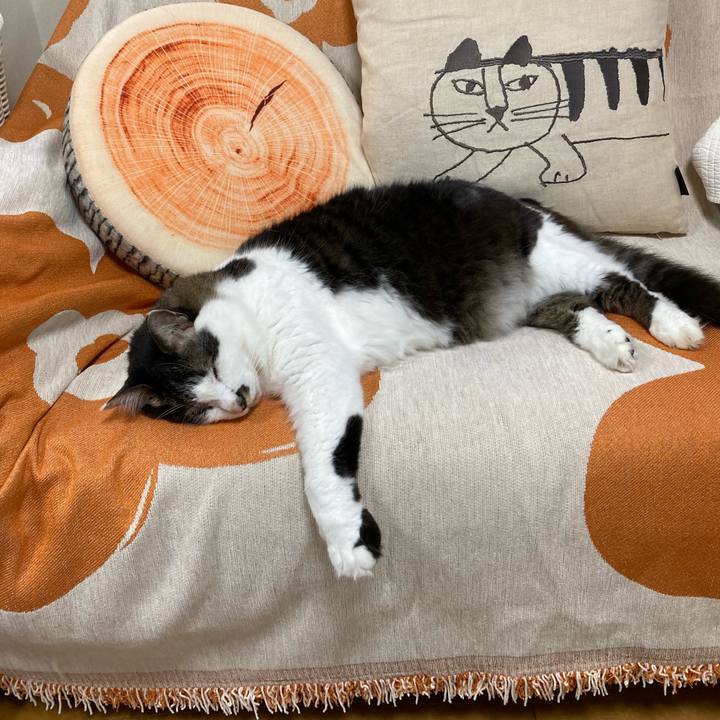 36e7f9ce d3e6 4dcd bae4 4afcf6fbdd1a 1714712125372