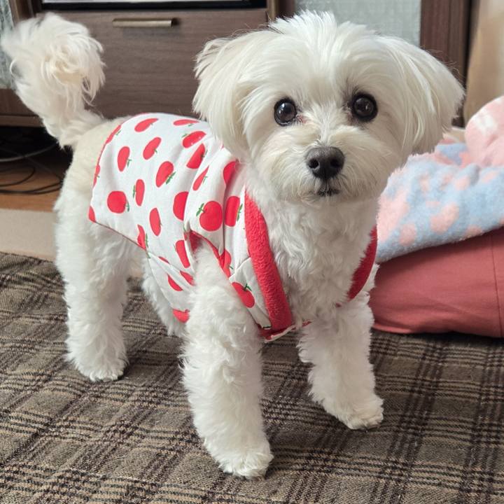 36e80844 ba23 4c55 9600 1b28ac71c85b 1766880831396