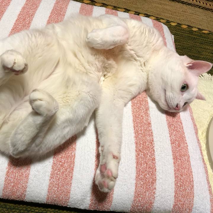 36e80989 5b22 4b71 b3f2 29d76b4a5d55 1573130865991