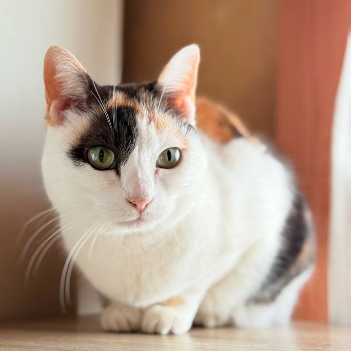 36e80da2 41ec 4030 b364 c457d7fac51f 1771467908747