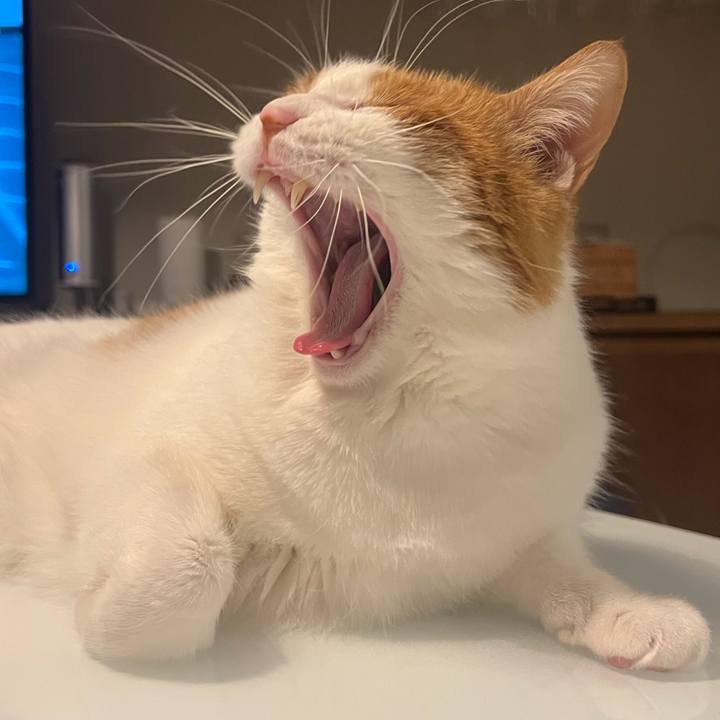 36e81f26 9f48 48e4 96d8 1a0fec14141e 1772715107400