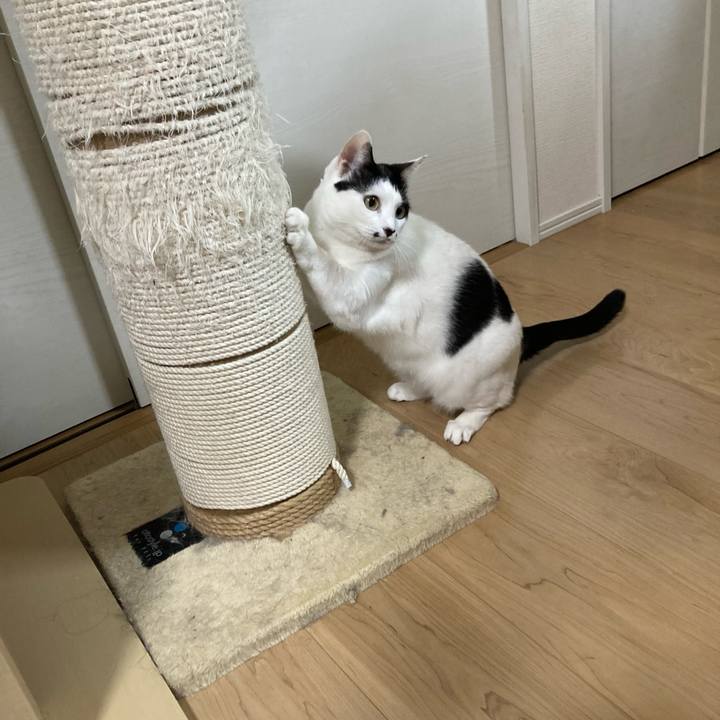 36e828c3 8d58 489b 9e0f 93b34f8daa18 1764620806855