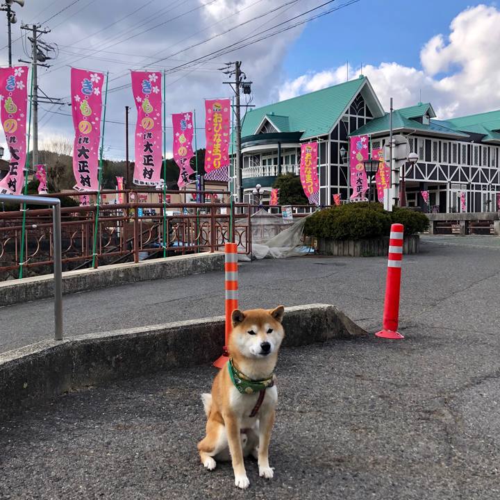 36e82ab9 946a 4ae5 bdfd 709ee5cd4f15 1554190884412