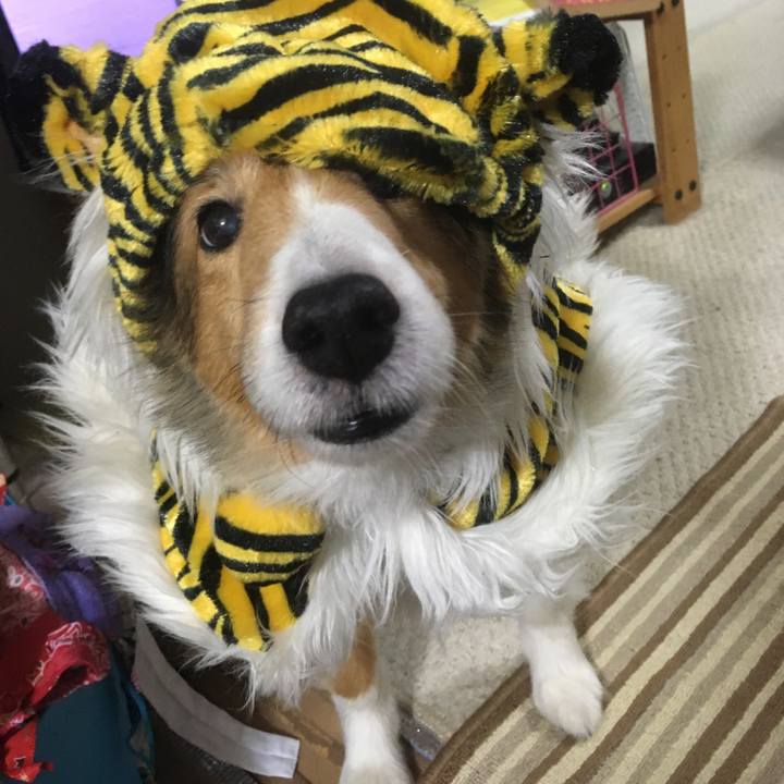 36e86330 2934 41a5 9938 0b3201399e3d 1609574029926