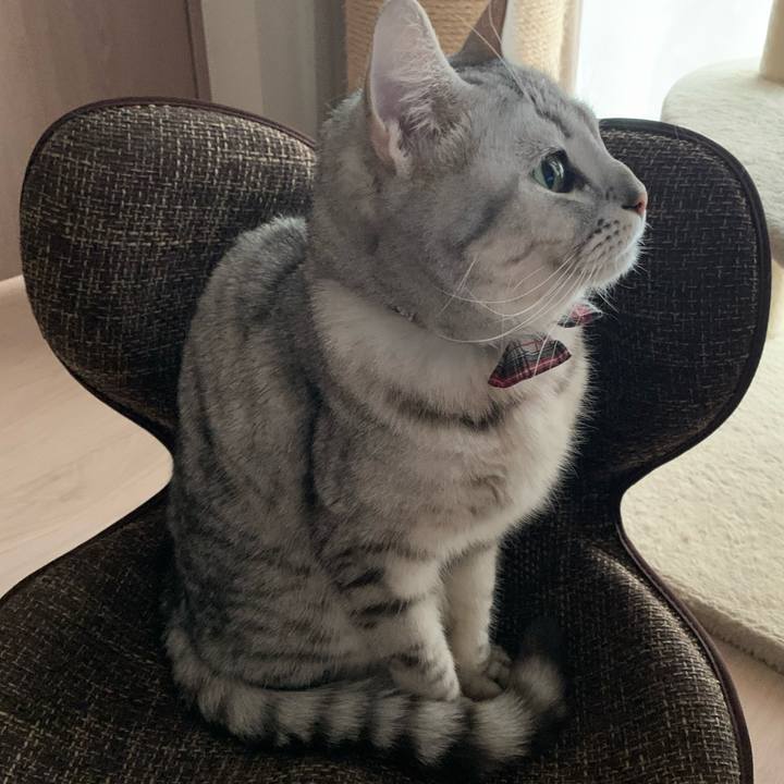 36e8671f b298 48de 9b90 4e9f8fb13c9e 1586246470344