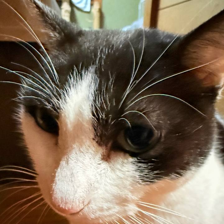 36e87c41 6970 4119 9c1e ae7fed2d460a 1767405122280