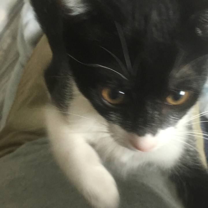 36e8c689 9815 4d7d 9eb1 c7ba2c64d94a 1508491858260