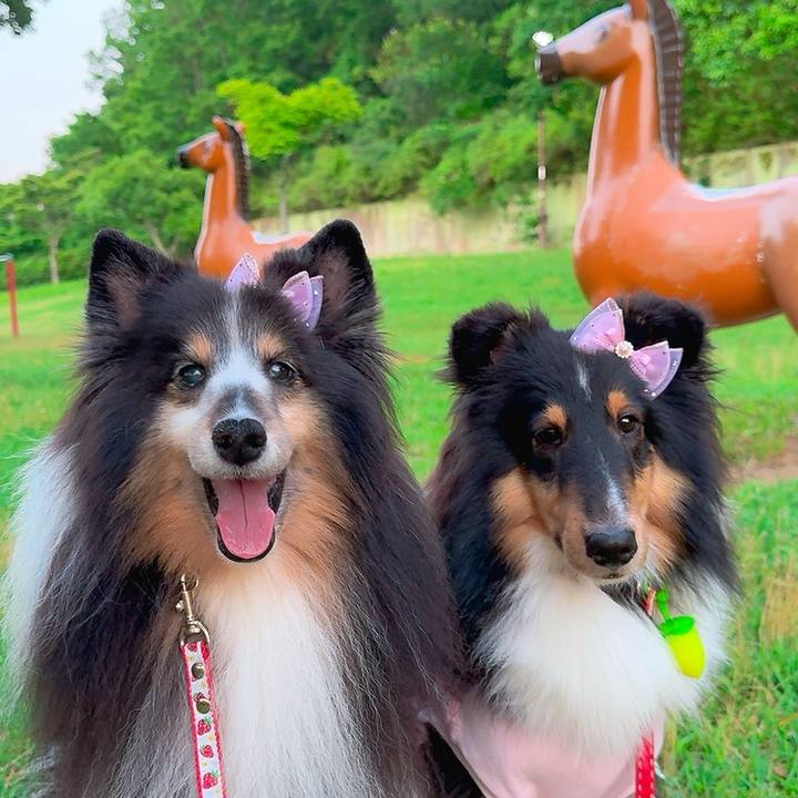 36e8fb4e 0b9d 459b b01f c0833ea16990 1752685905272