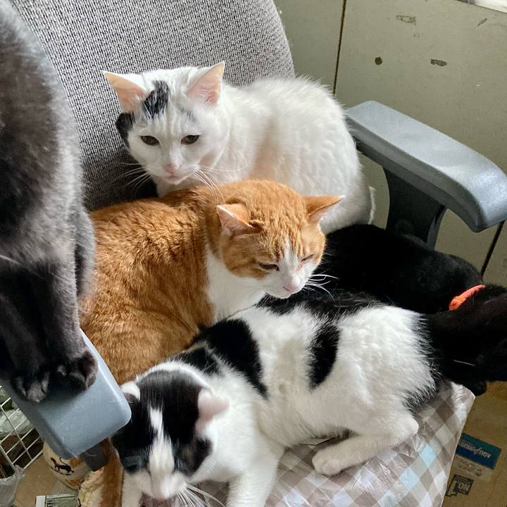 36e8ff81 a9d2 4a25 bc29 0f13c380da6f 1685057975802