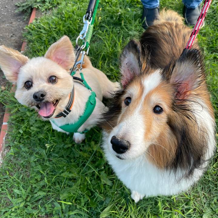 36e92437 5e20 4bd2 9992 45aeac73938c 1634474795535