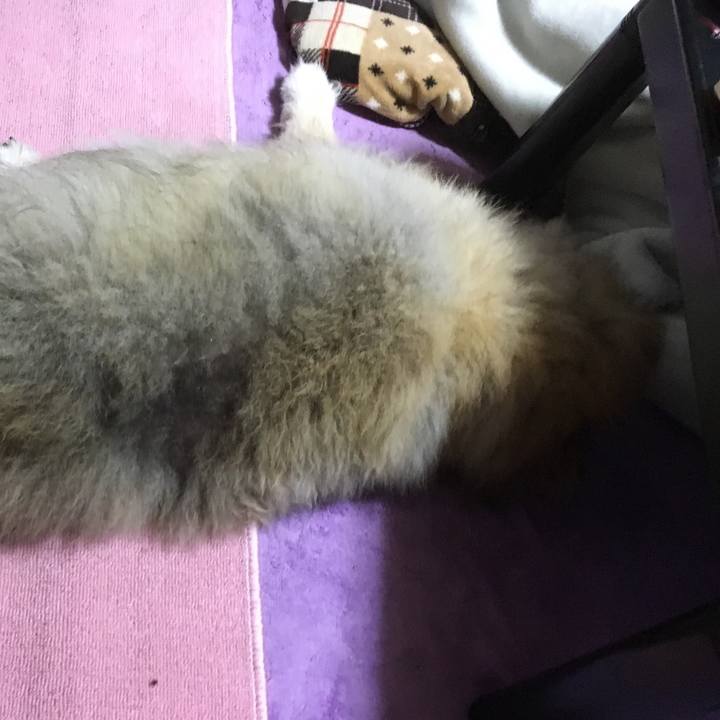 36e948df dcbc 4c0f a016 5081d2ed7ab6 1586481659197