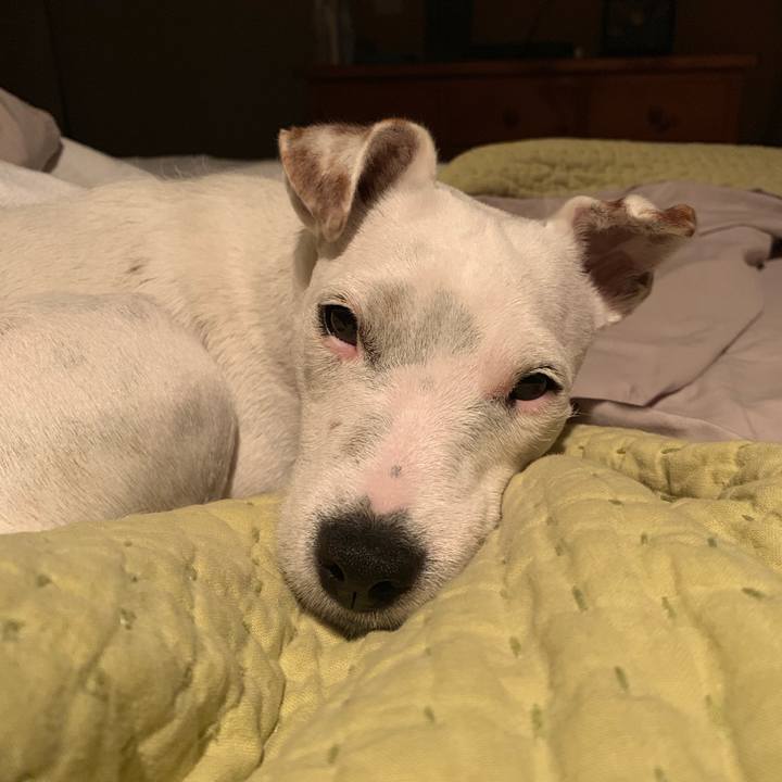 36e949fe 64fe 490d ae1f 8b08533a897d 1554900276626