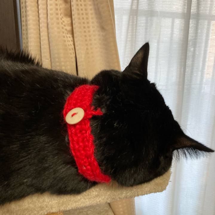 36e96f29 6e0c 49d6 9782 c97a7ff51063 1645506008499